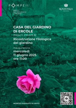 LOCANDINA ROSE 250