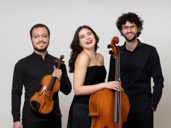 TRIO SHELIAK 3 250